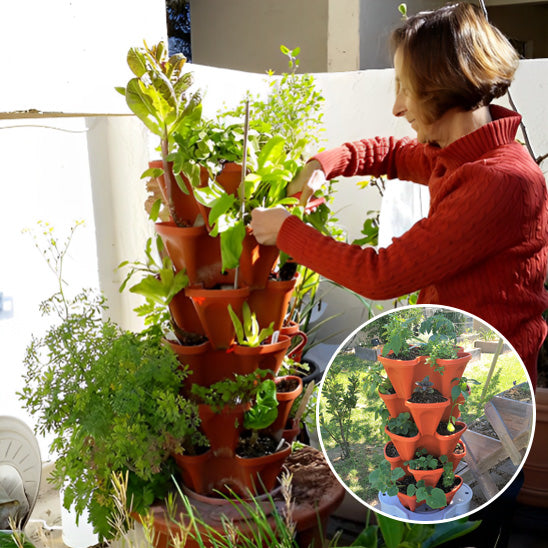 Jadinière Tridimensionnels Ultra Robustes en Plastique