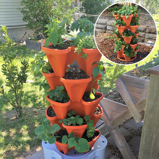 Jadinière Tridimensionnels Ultra Robustes en Plastique